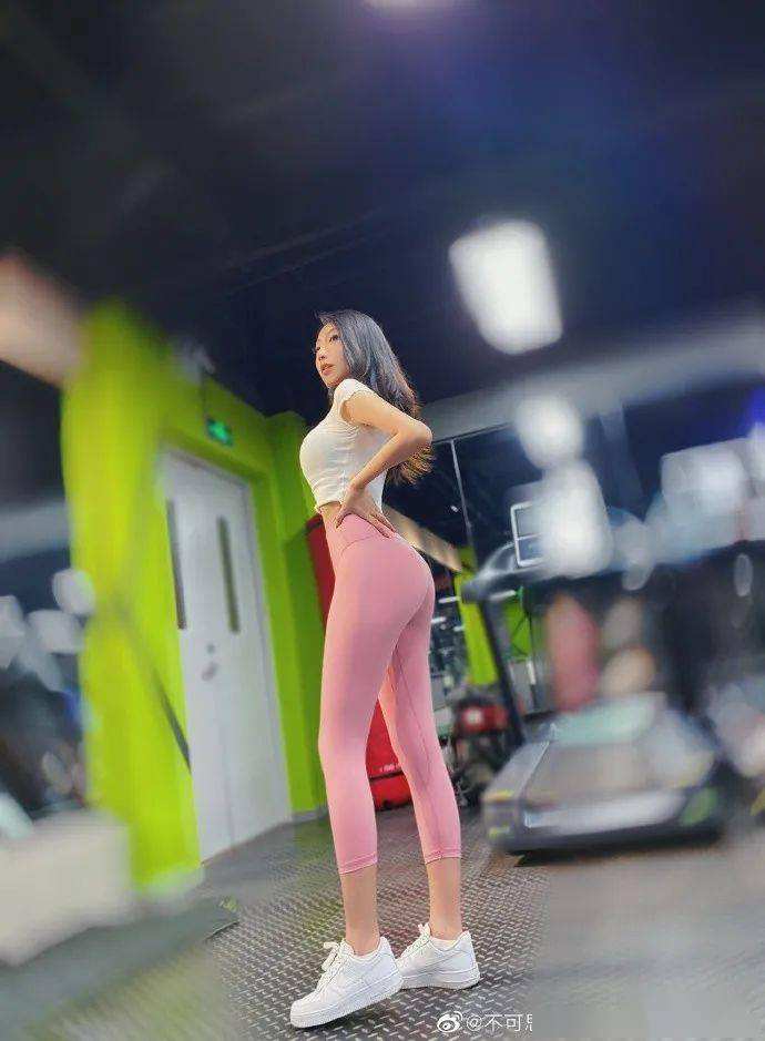 4949澳门免费资料大全下载手机版